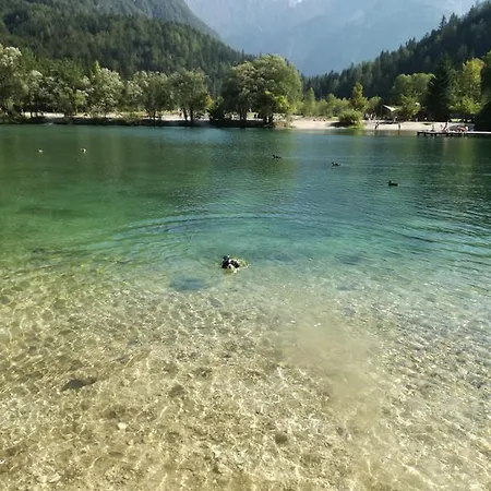 Appartement Stefka *