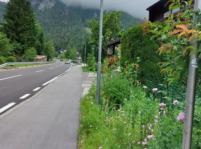 Stefka Daire Kranjska Gora